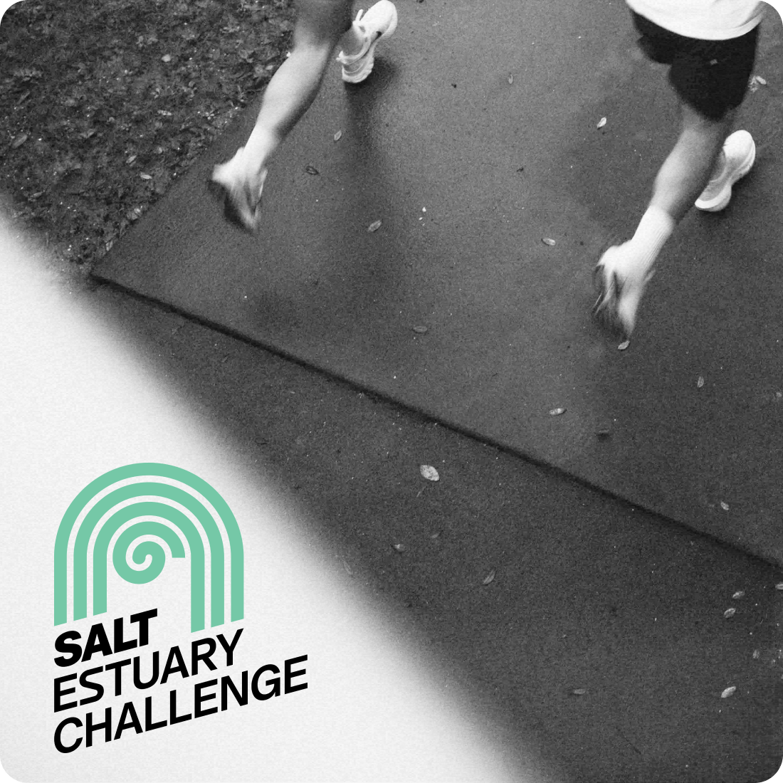 Salt Estuary Challenge Logo
