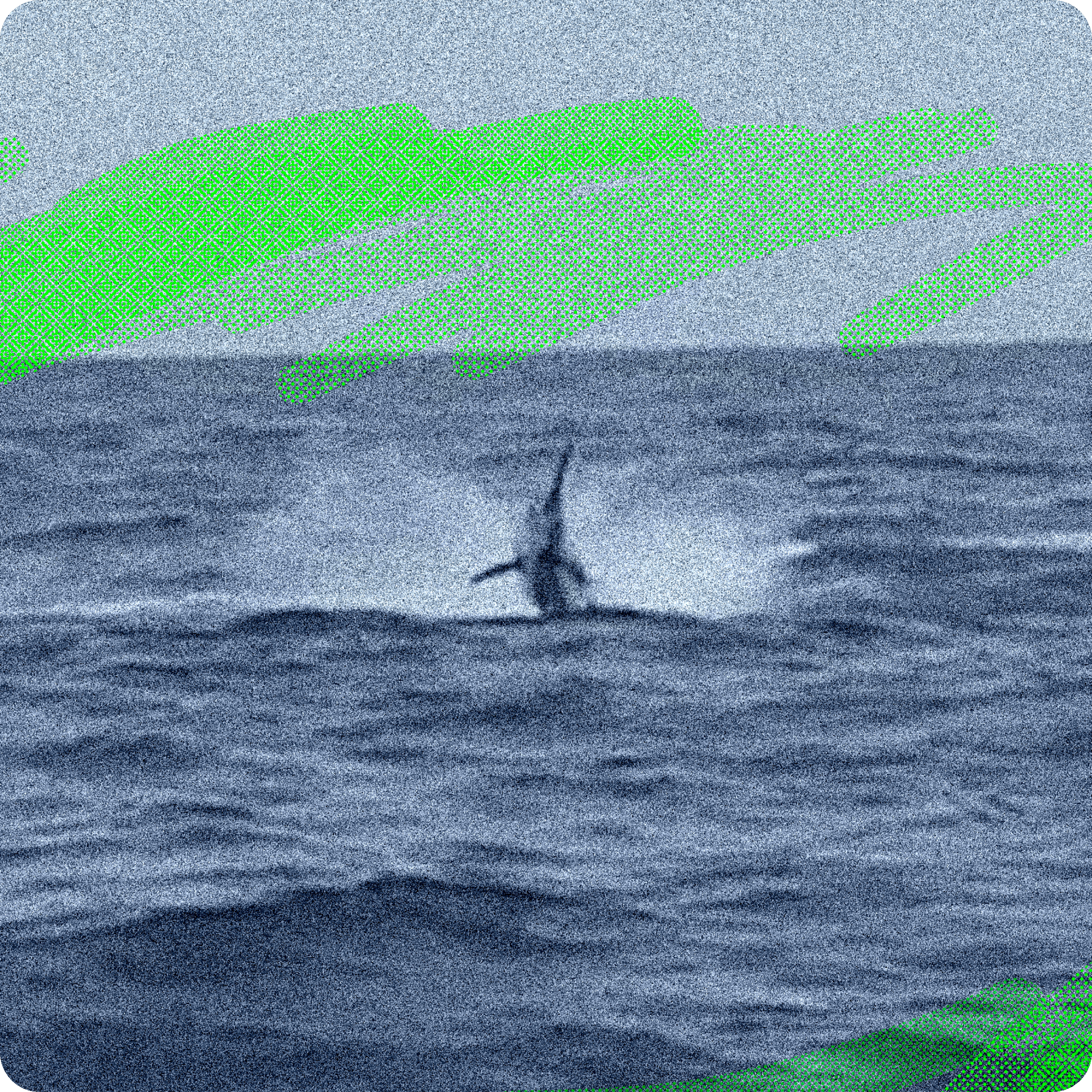 Graphic of a jumping marlin